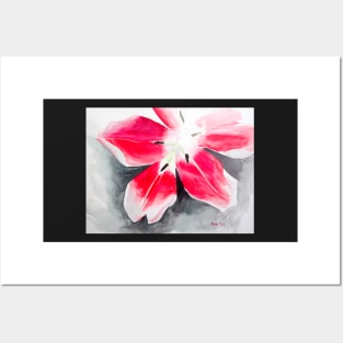 Pink and Red Tulip Watercolor Painting Posters and Art